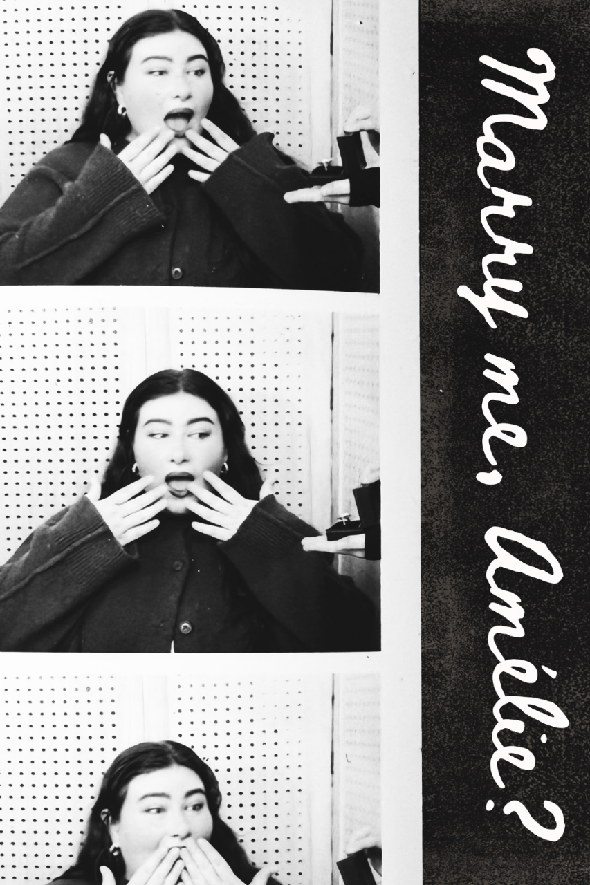 Marry me, Amélie portfolio 5