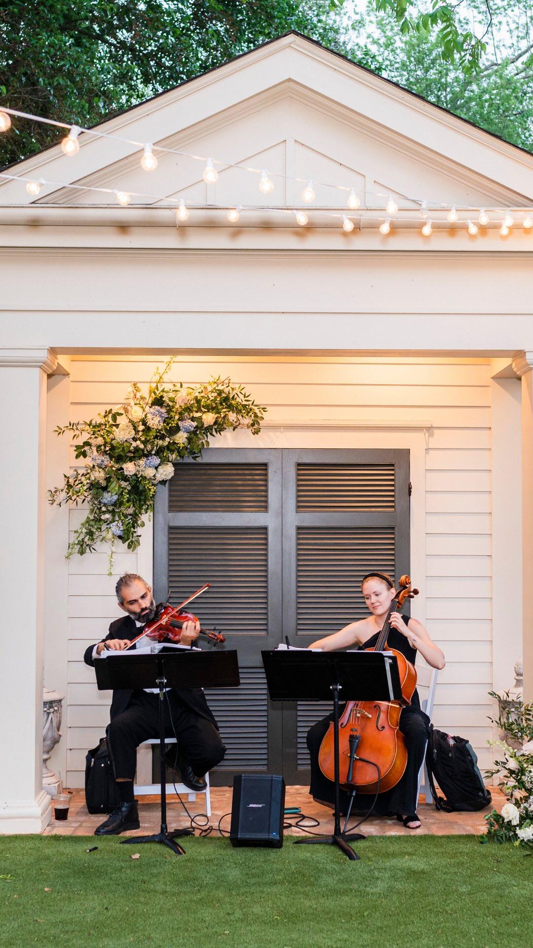 Vérité Strings portfolio 5