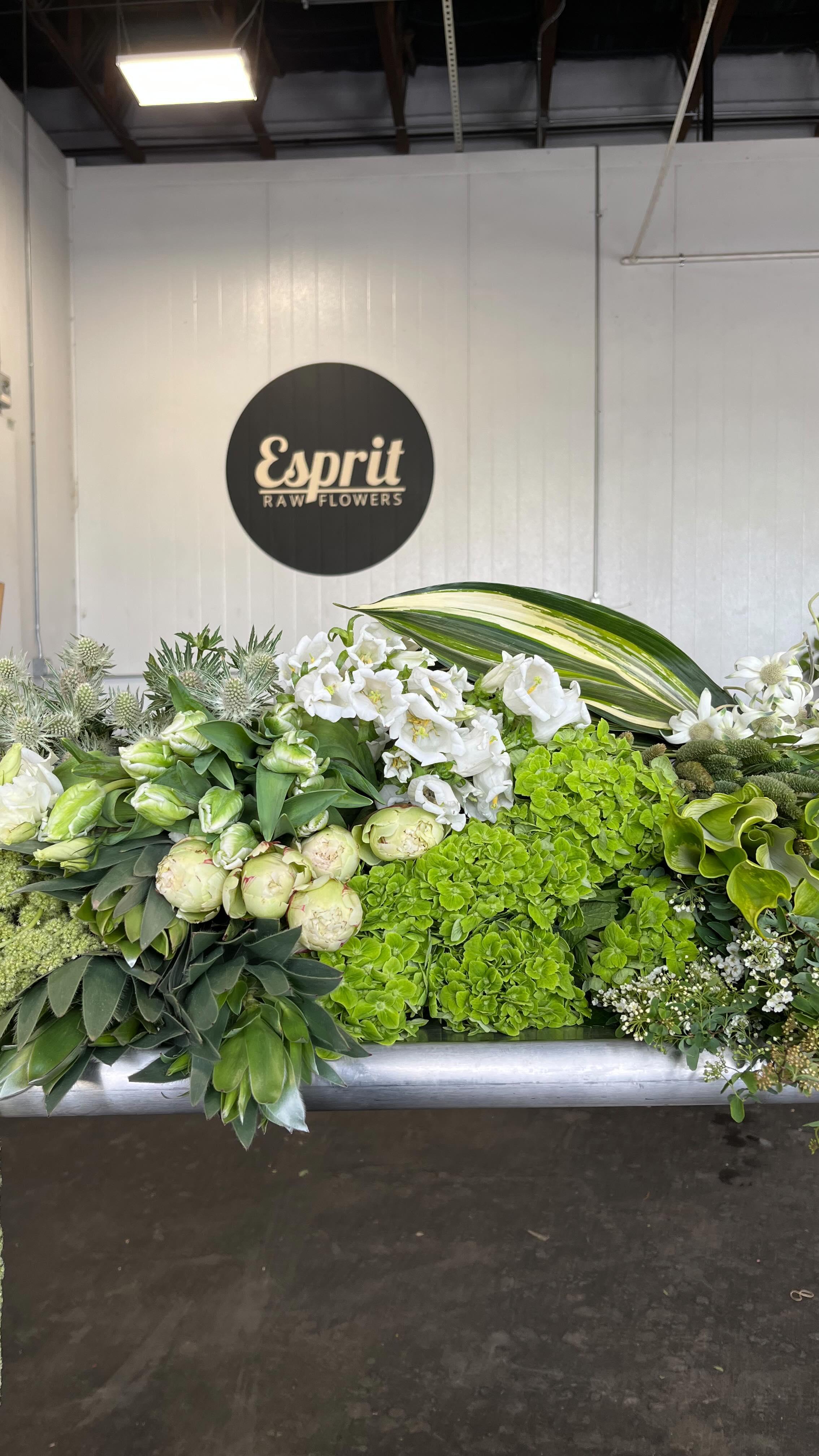 Esprit Raw Flowers portfolio 4