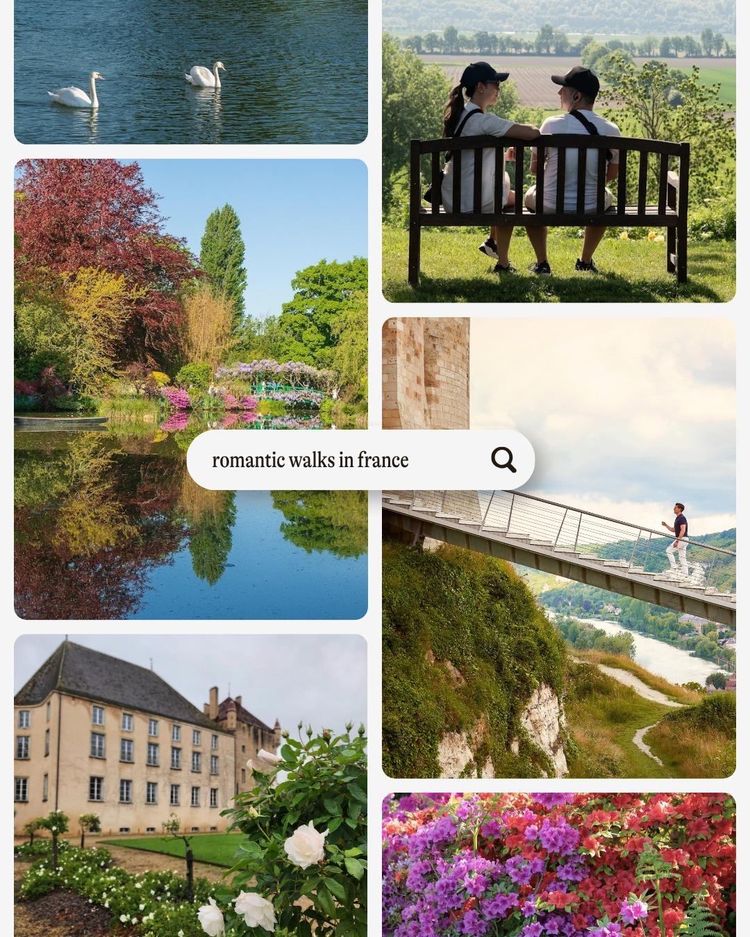 Cruise Planners - Mayra Phipps portfolio 3