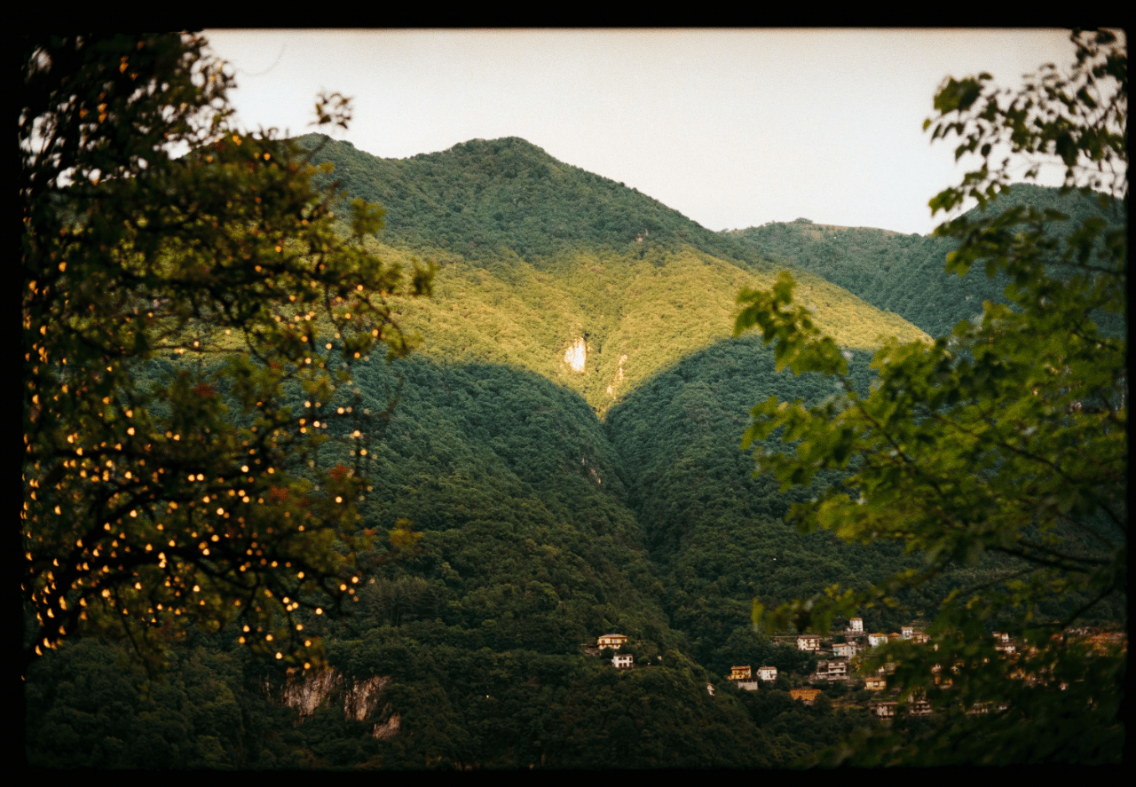 Sergei Checha | Checha Weddings portfolio 4