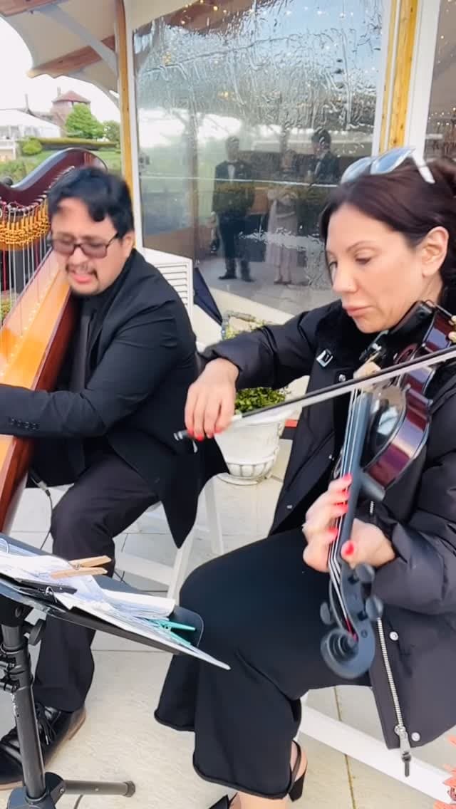 Naavi Strings portfolio 1