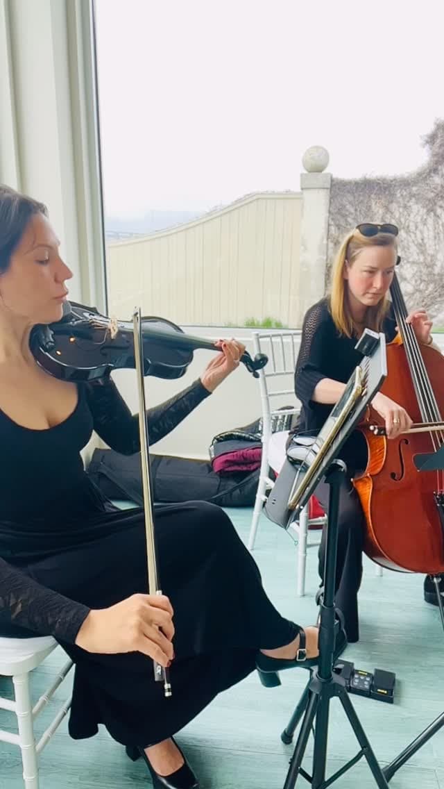Naavi Strings portfolio 2