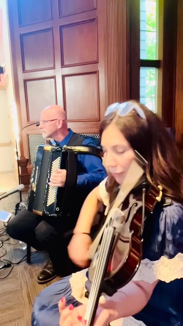 Naavi Strings portfolio 3