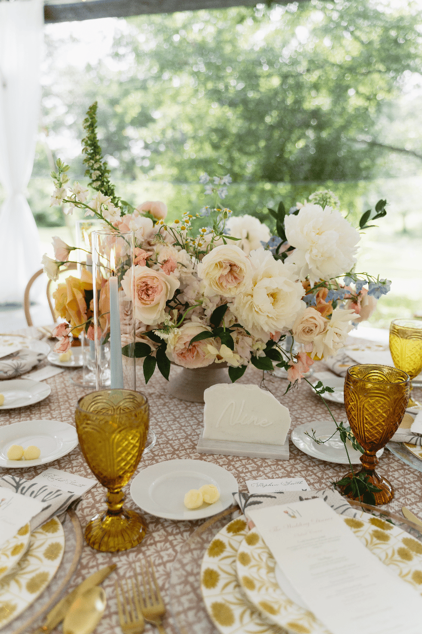 Anna Linsz & Hannah Linsz's wedding-image-19