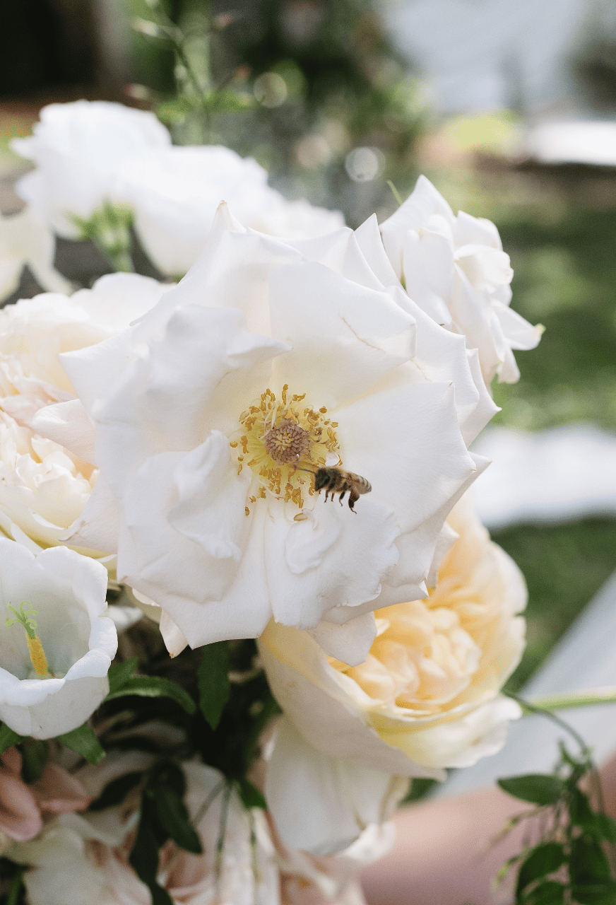 Anna Linsz & Hannah Linsz's wedding-image-12