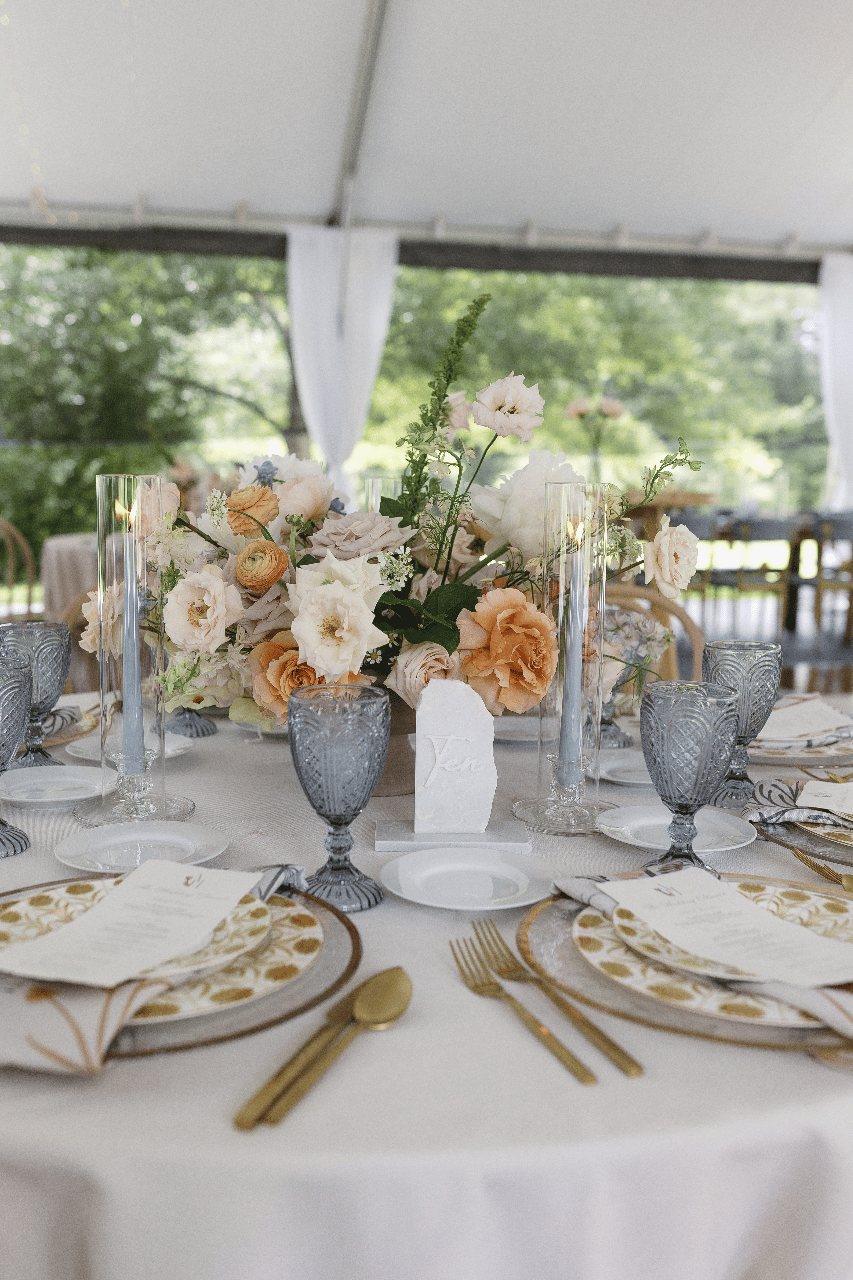 Anna Linsz & Hannah Linsz's wedding-image-55