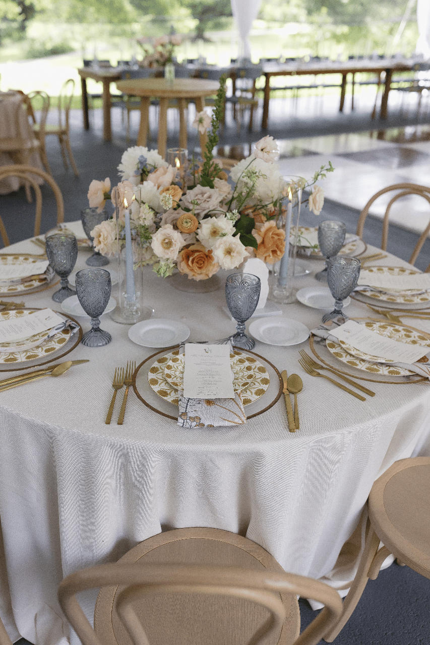 Anna Linsz & Hannah Linsz's wedding-image-54