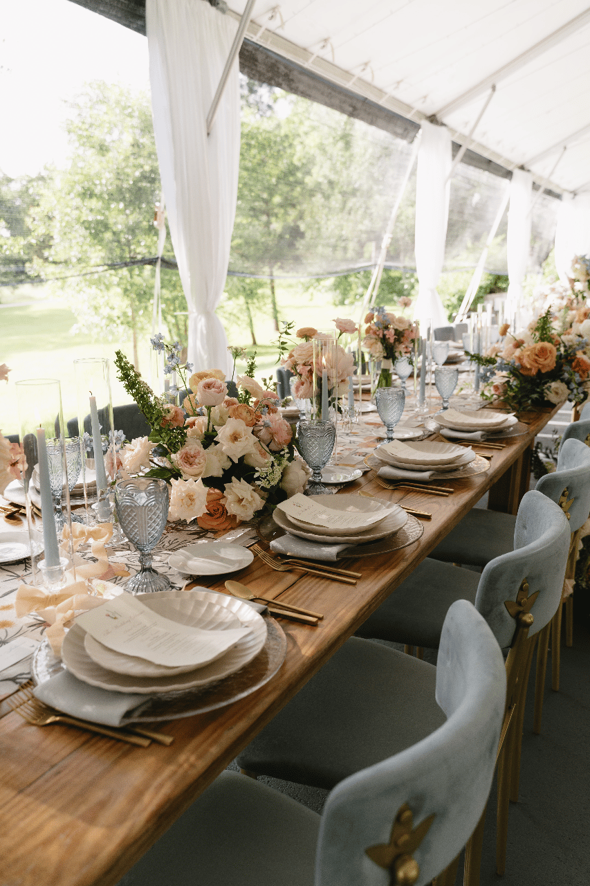 Anna Linsz & Hannah Linsz's wedding-image-14