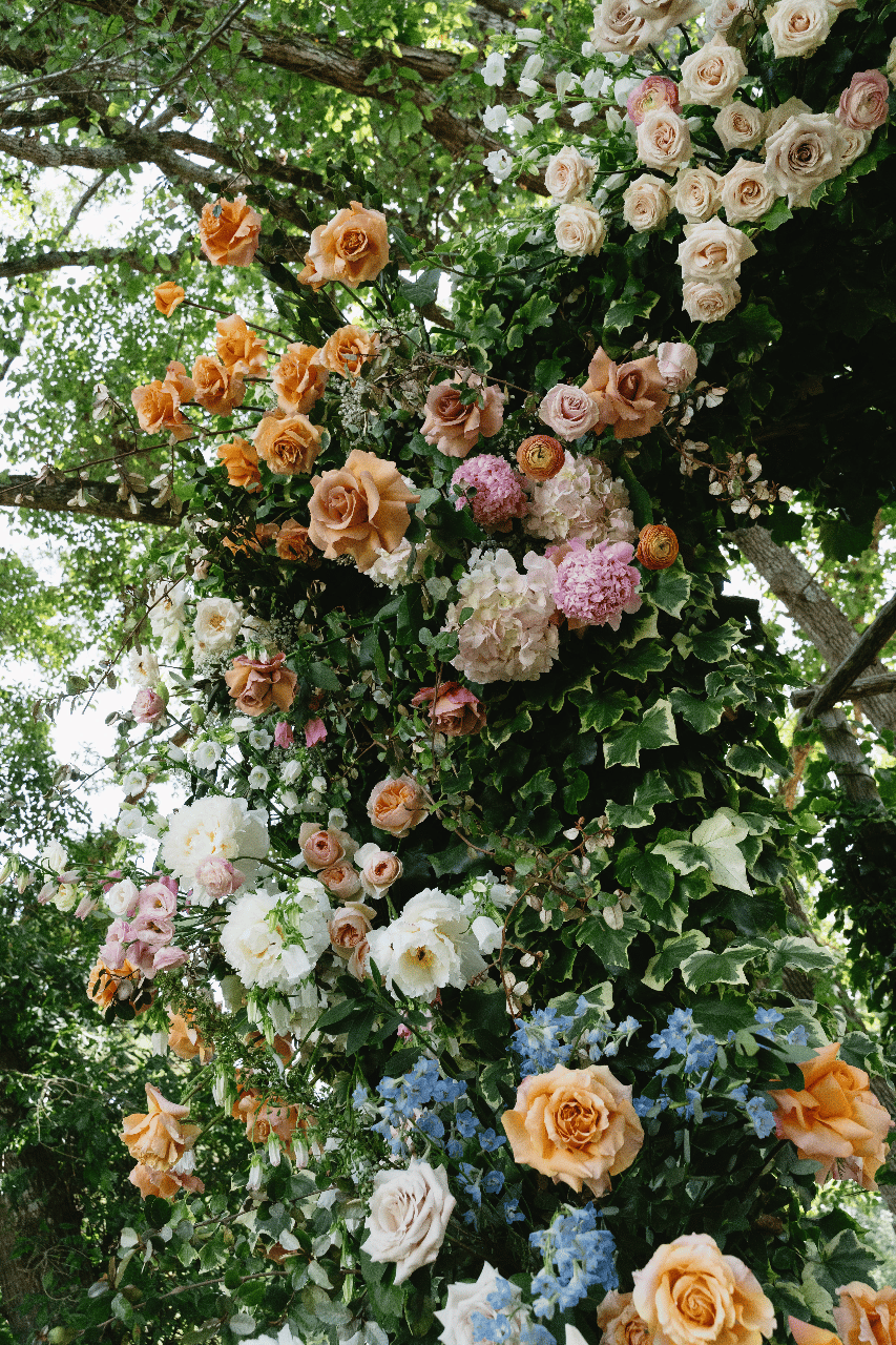 Anna Linsz & Hannah Linsz's wedding-image-9