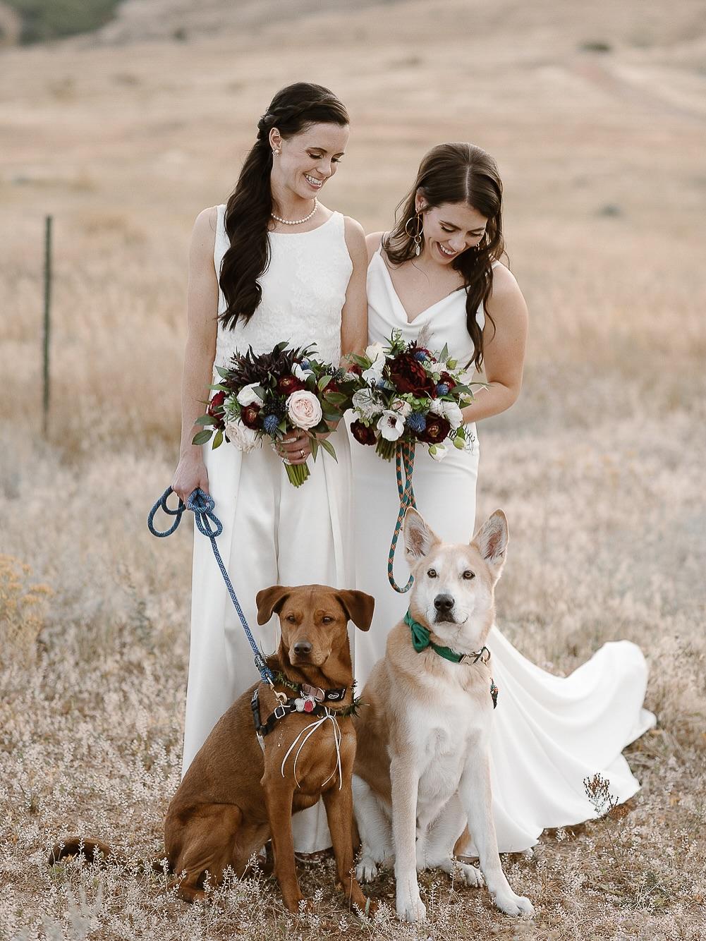 Ashley Joyce Photography portfolio 5
