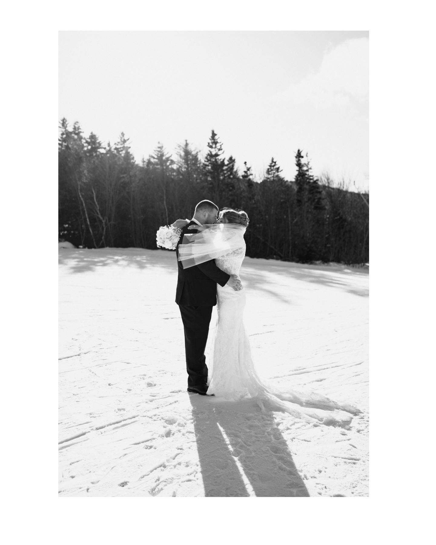 Captured By Moll portfolio 2