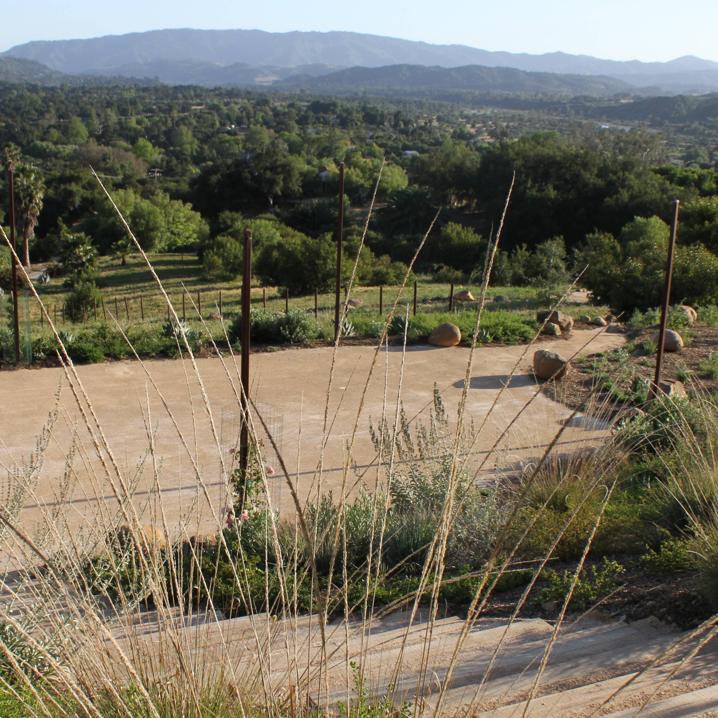 Maricopa Gardens