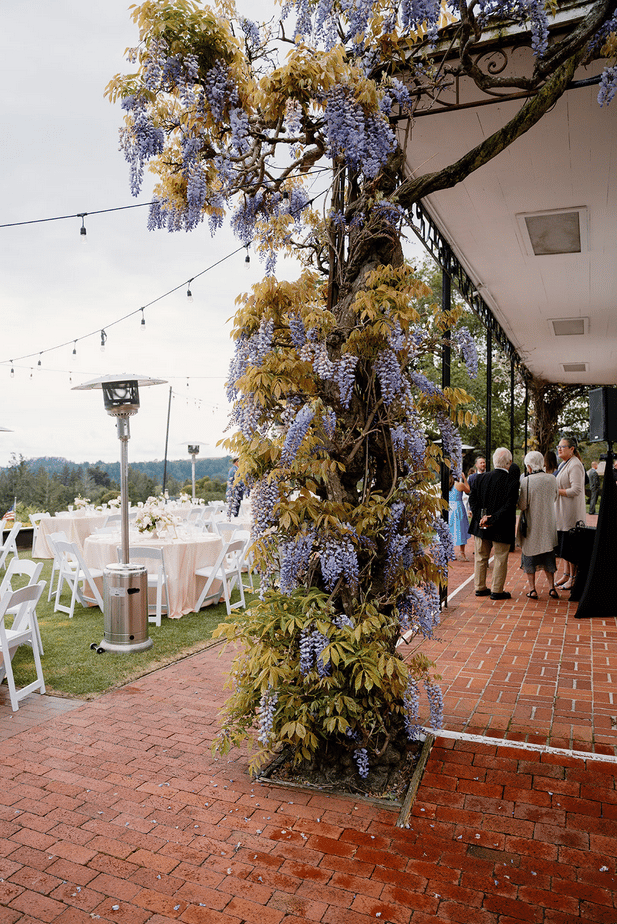 Caroline DeCesare & Tommy DeCesare's wedding 14