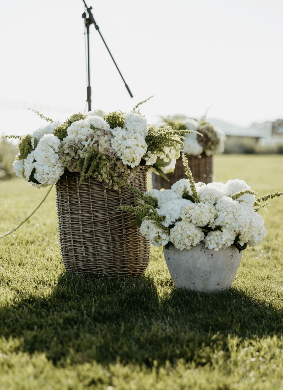 Tullie Lane Florals portfolio 1
