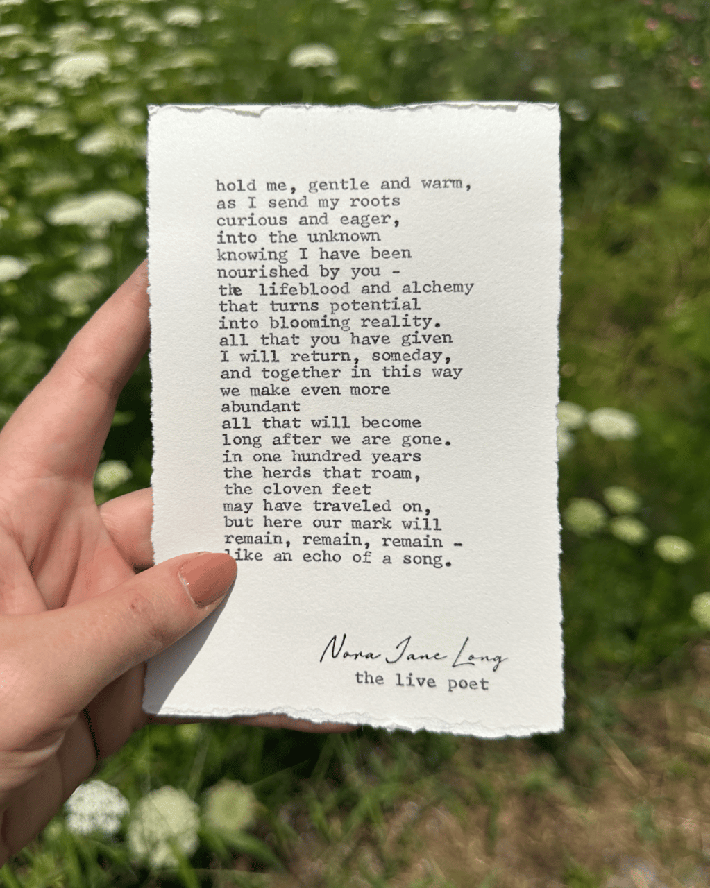 The Live Poet portfolio 2