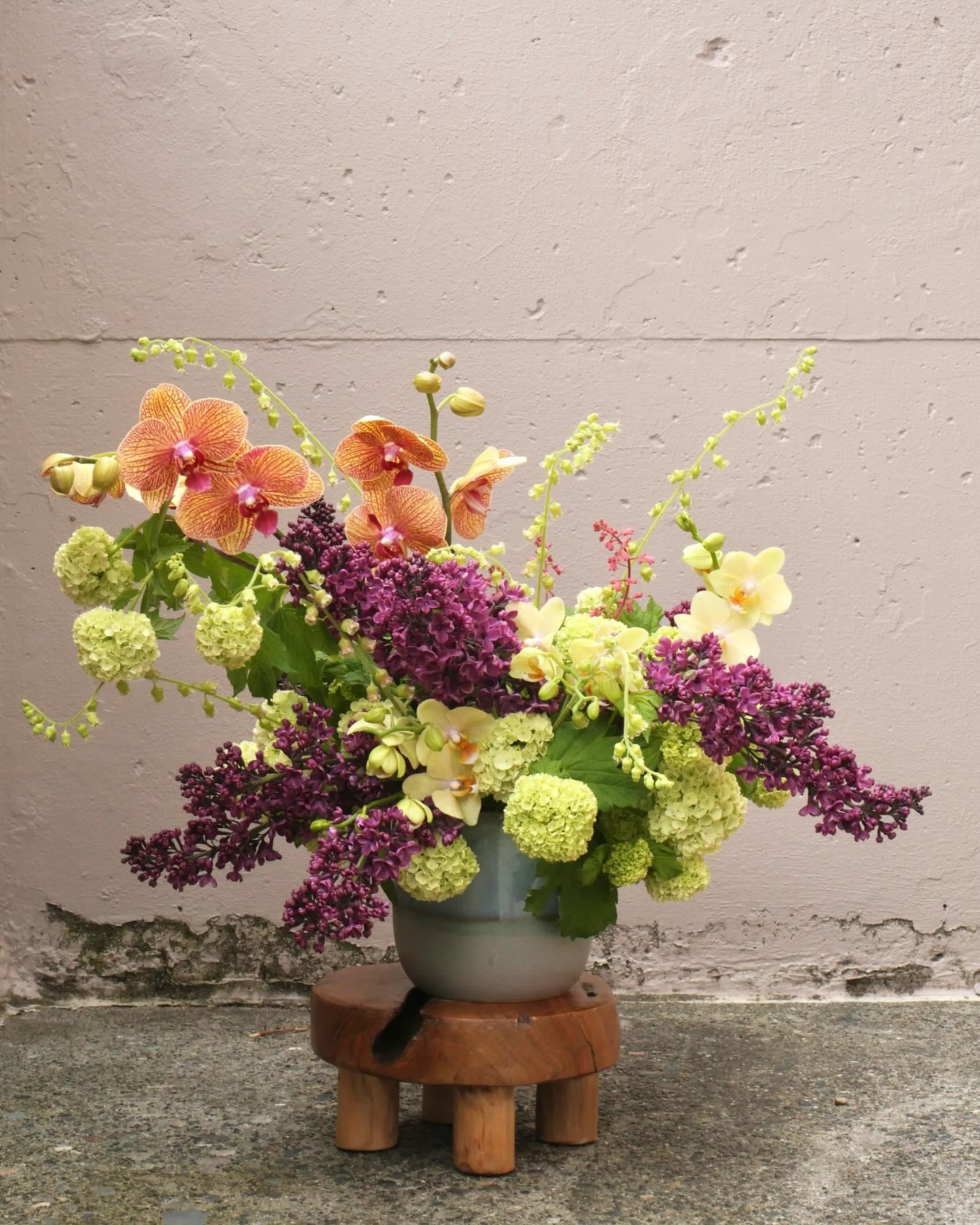 Toadstool Flower Club