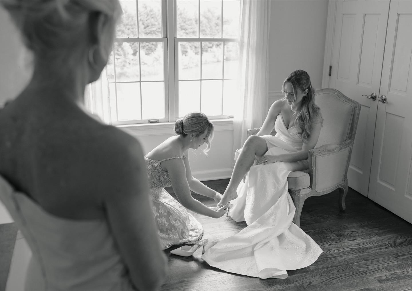 Lauren VanDame Photography portfolio 2