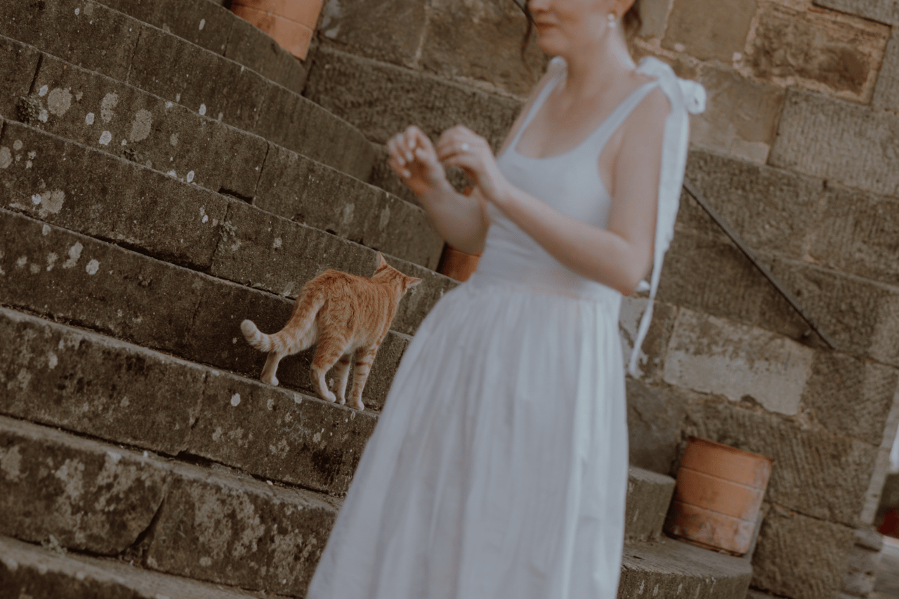 Courtney Schramm & Luke Schramm's wedding-image-5