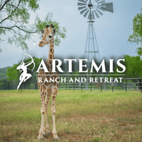 Artemis Ranch & Retreat portfolio 1