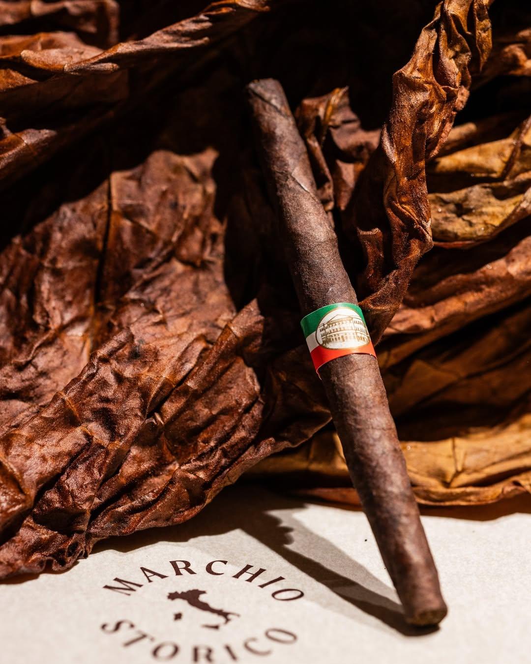 Cigaro Toscano portfolio 3