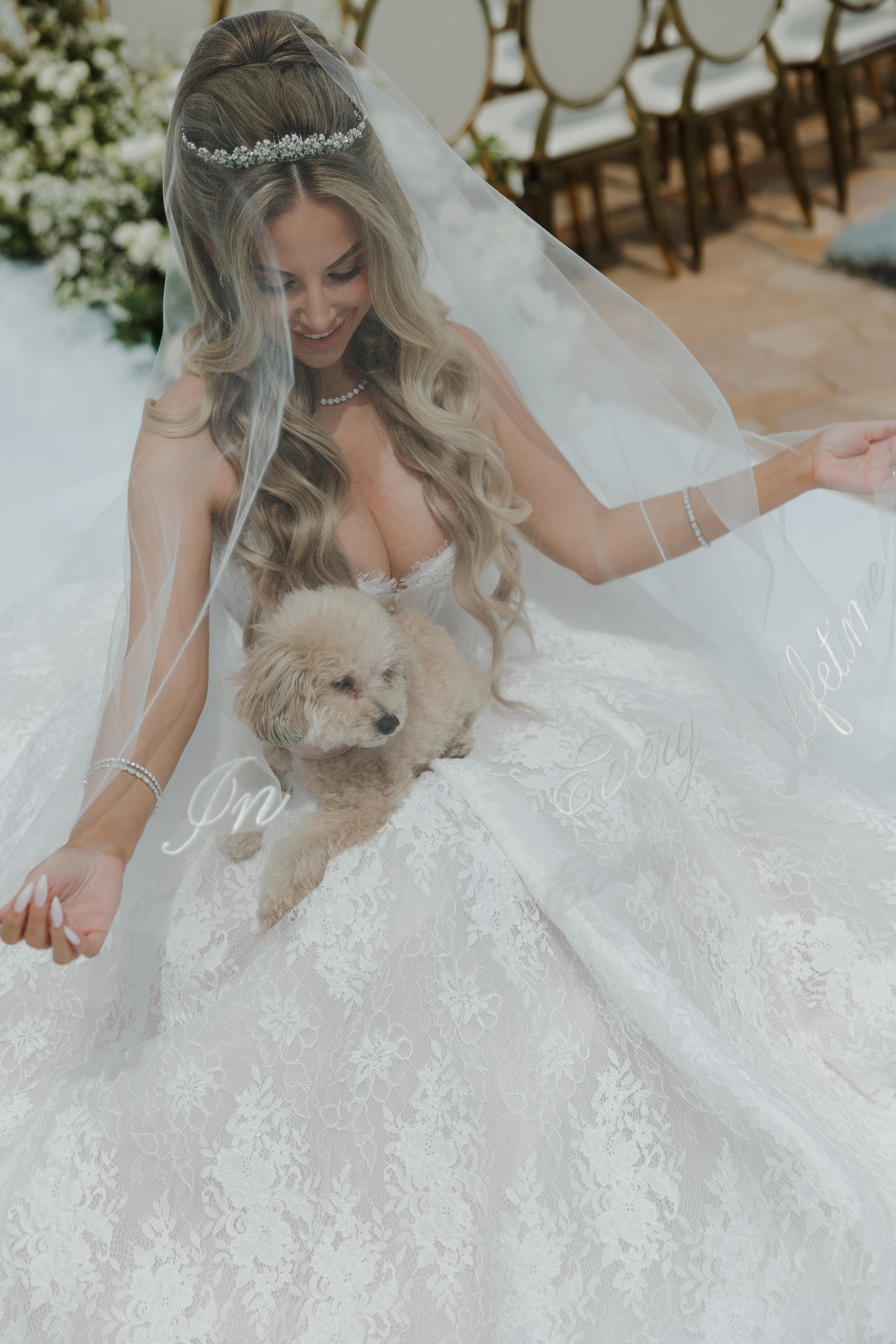 Precious Petcare San Diego portfolio 1