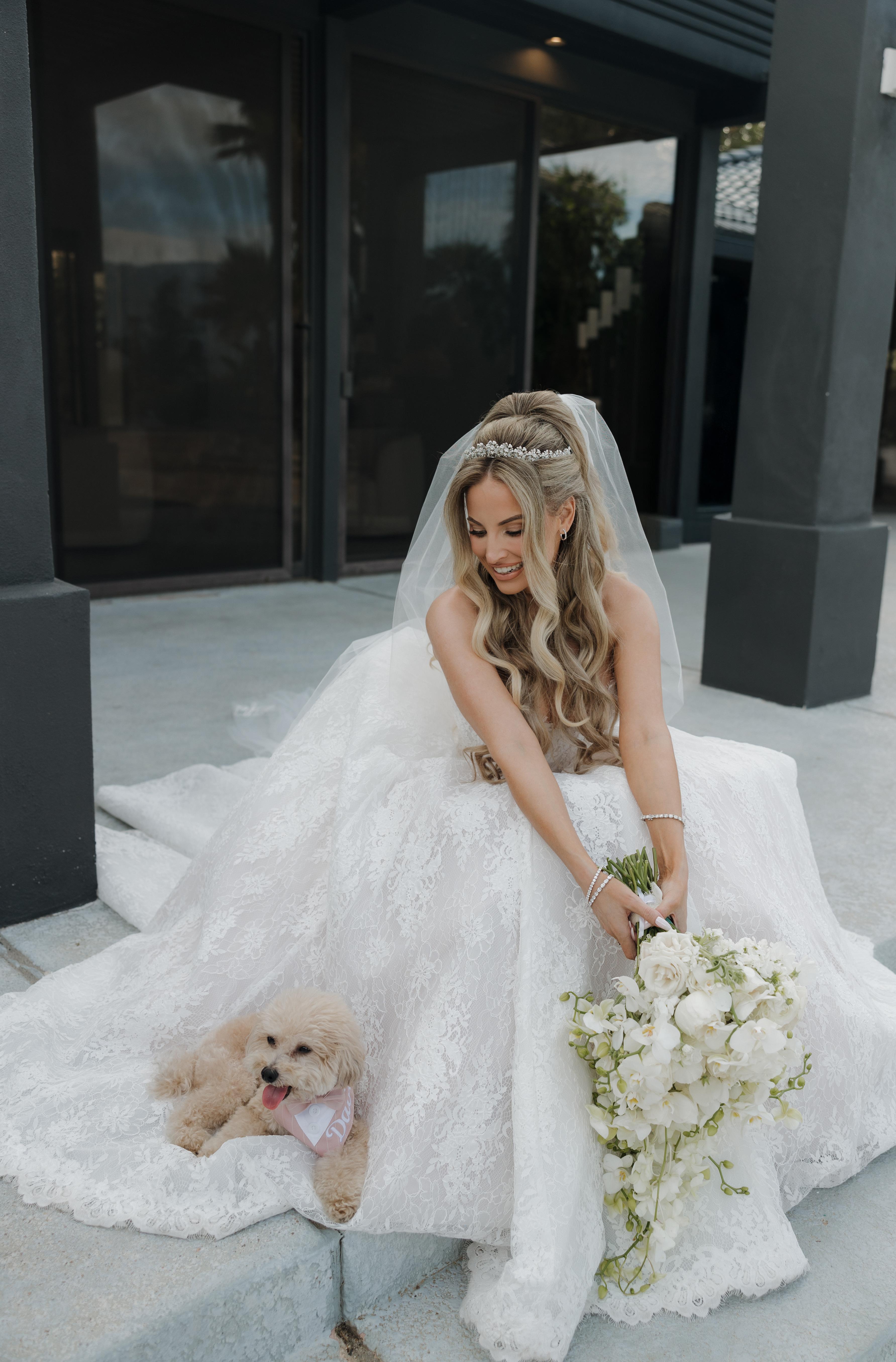 Precious Petcare San Diego portfolio 2