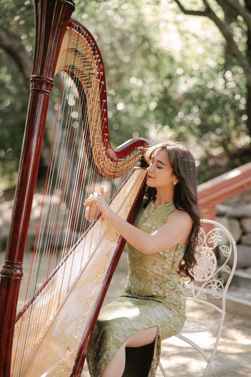 Alaina Stark, Harpist portfolio 1