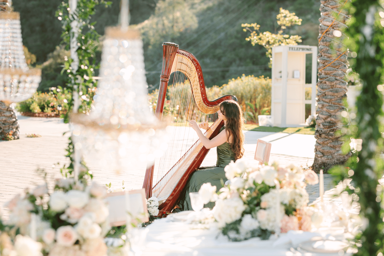 Alaina Stark, Harpist portfolio 4