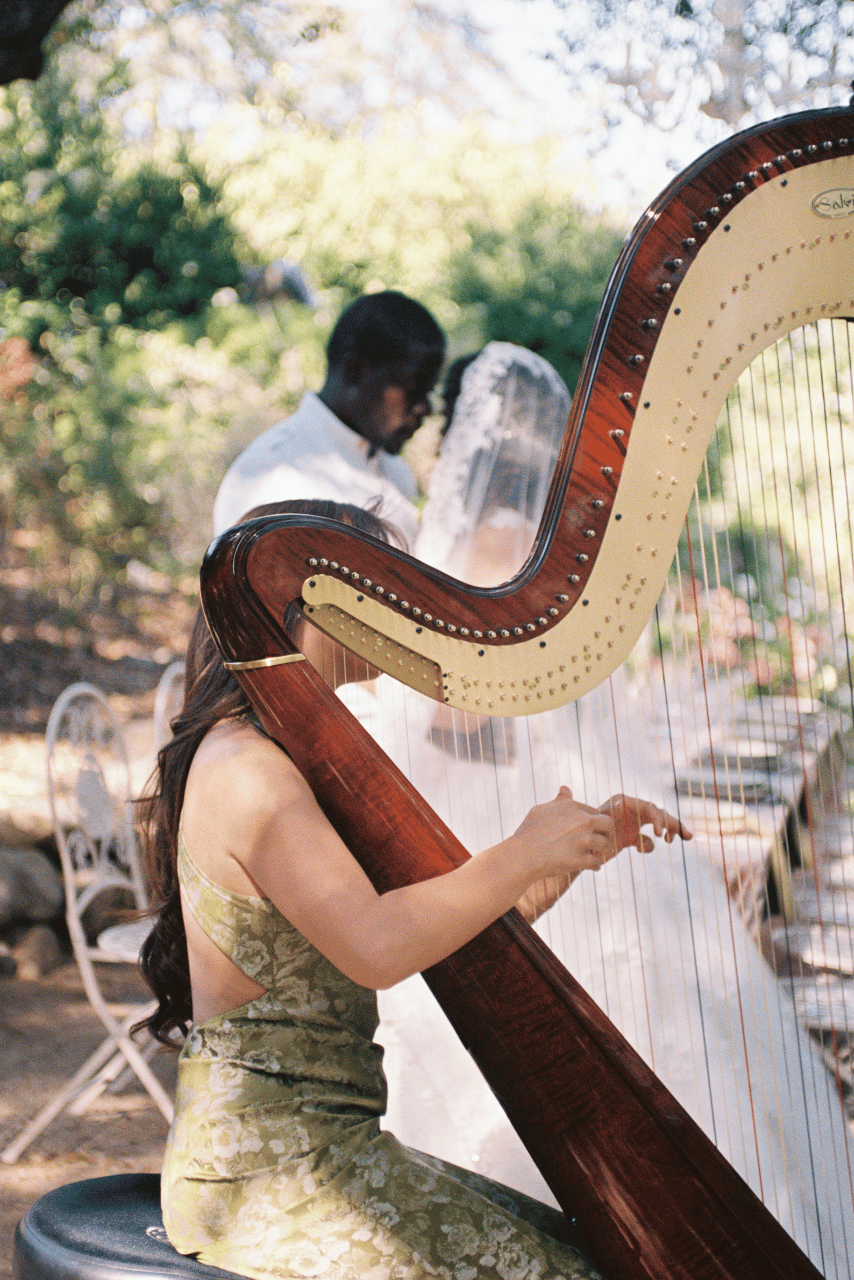 Alaina Stark, Harpist portfolio 2