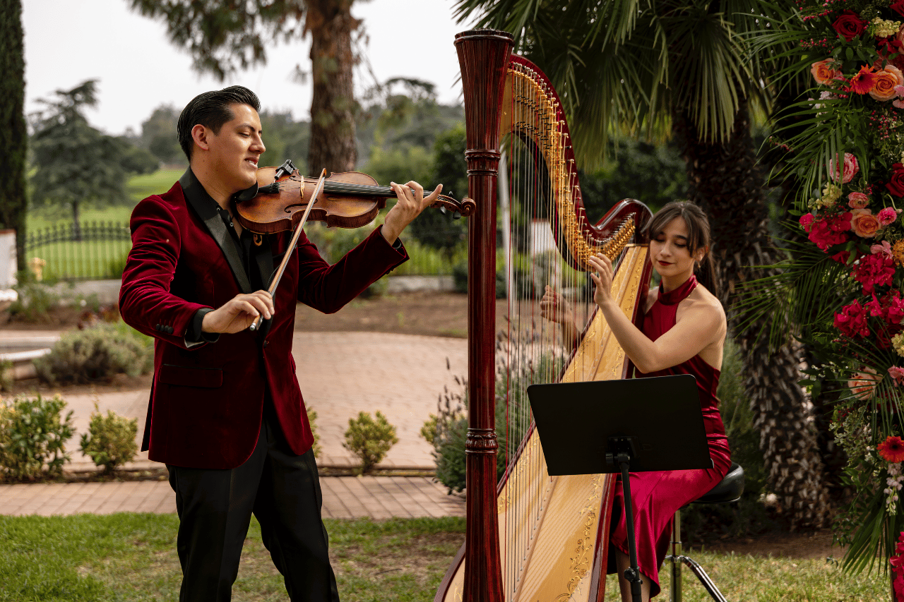 Alaina Stark, Harpist portfolio 3