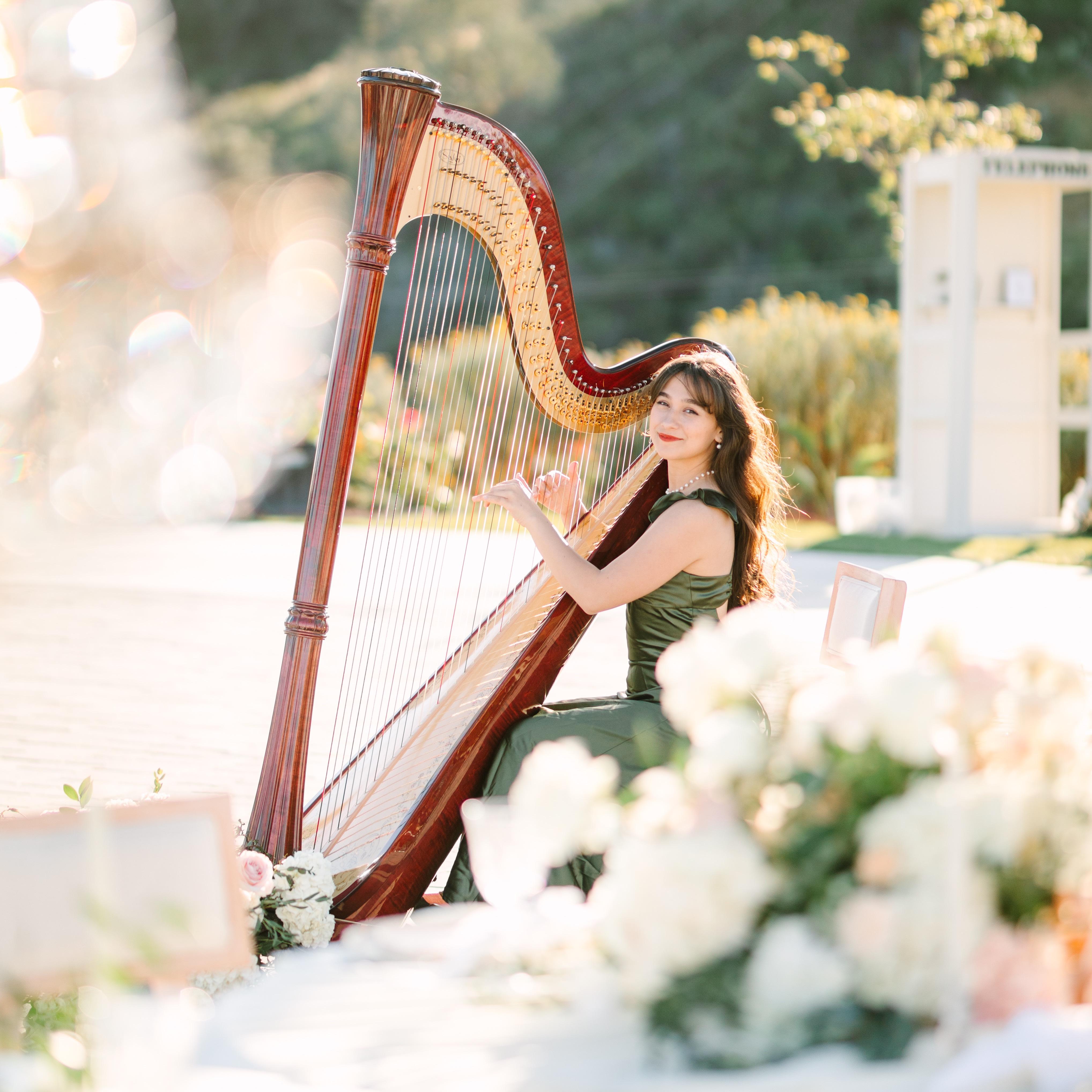 Alaina Stark, Harpist