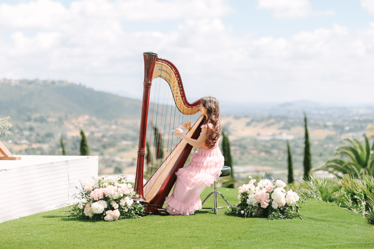 Alaina Stark, Harpist portfolio 5
