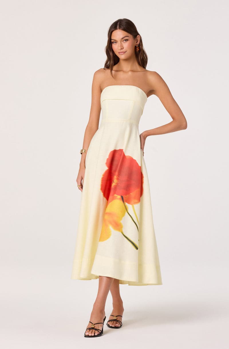 Ximena Dress