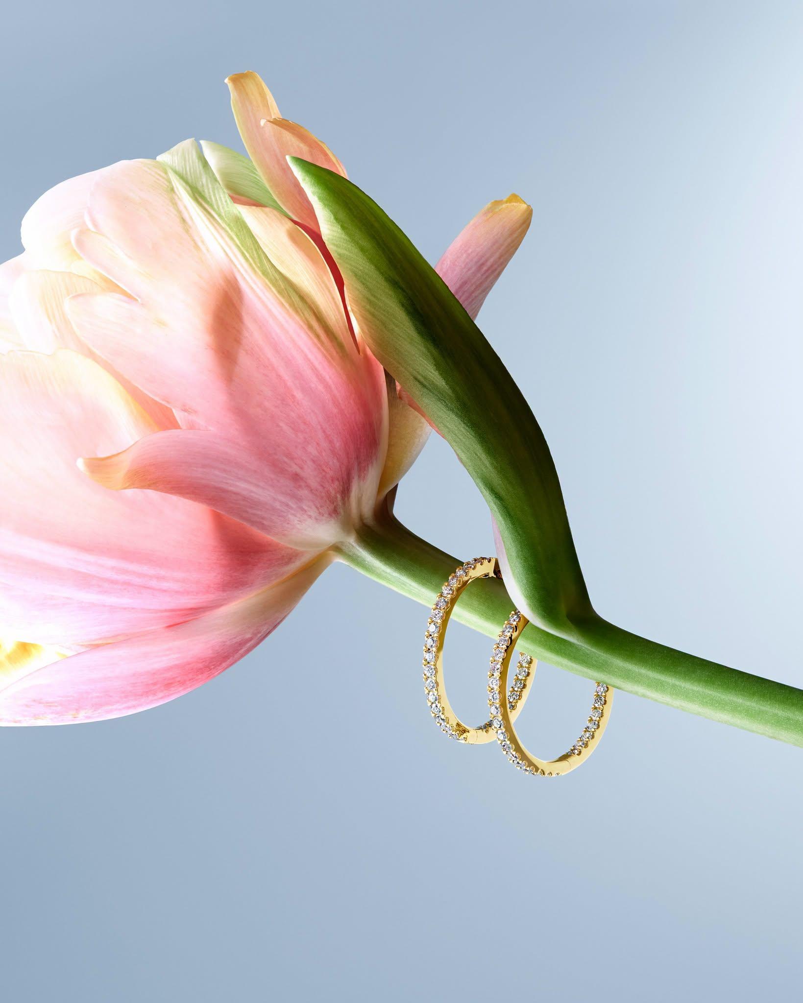 Bucherer Fine Jewellery portfolio 1
