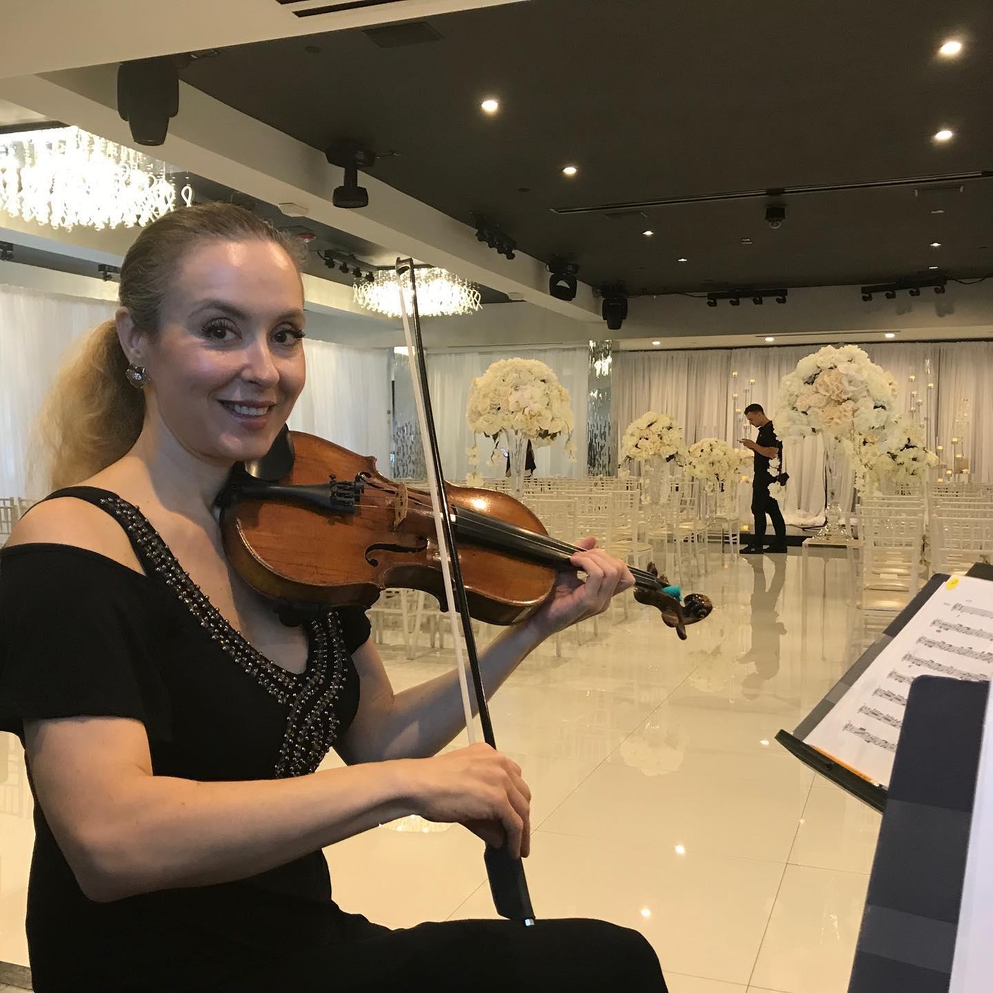 Angelica Strings  portfolio 3