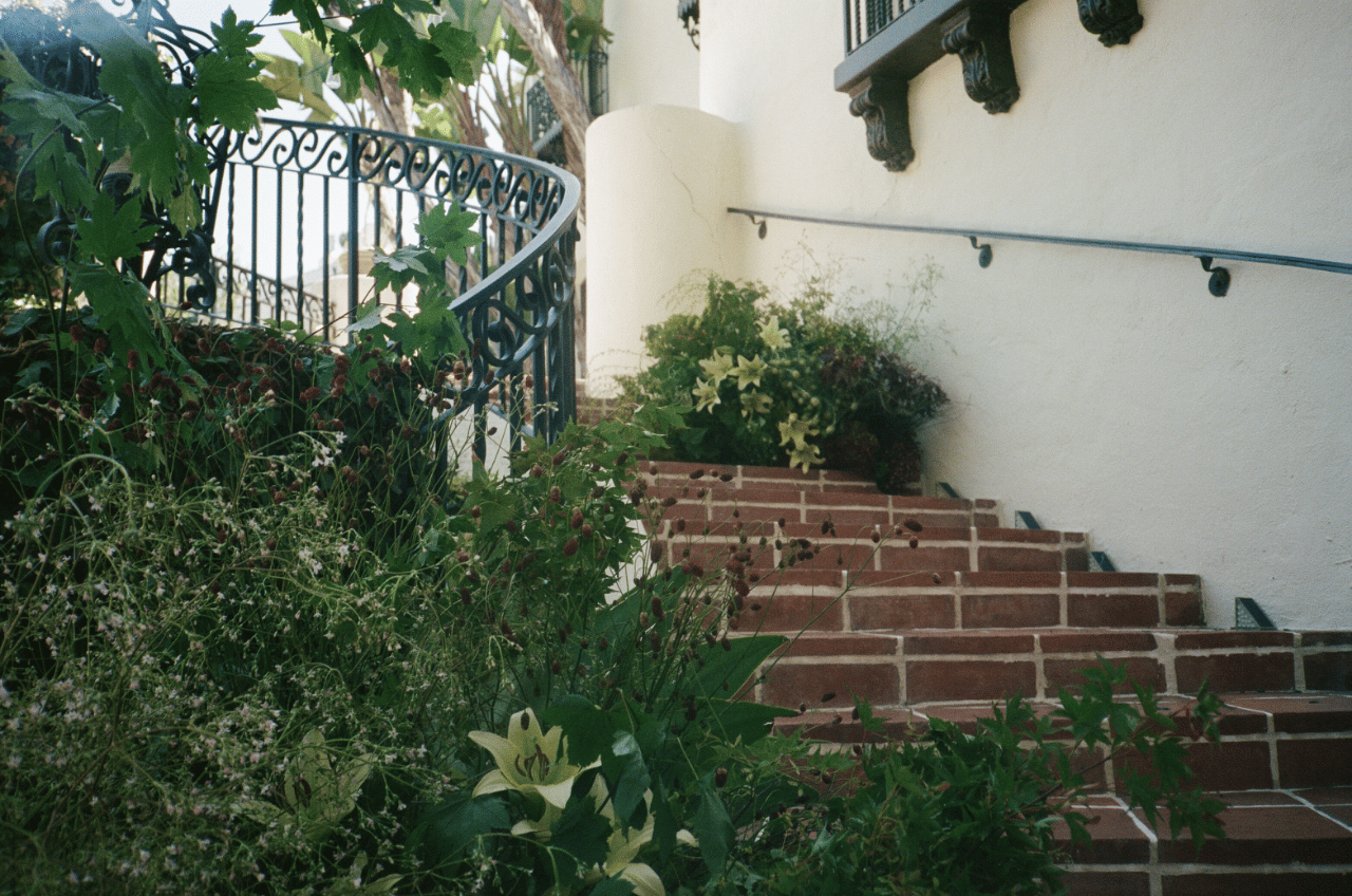 Adrienne Hein Studio portfolio 3