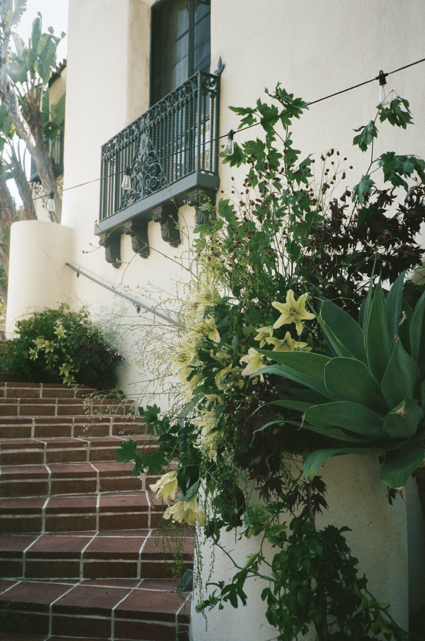 Adrienne Hein Studio portfolio 4