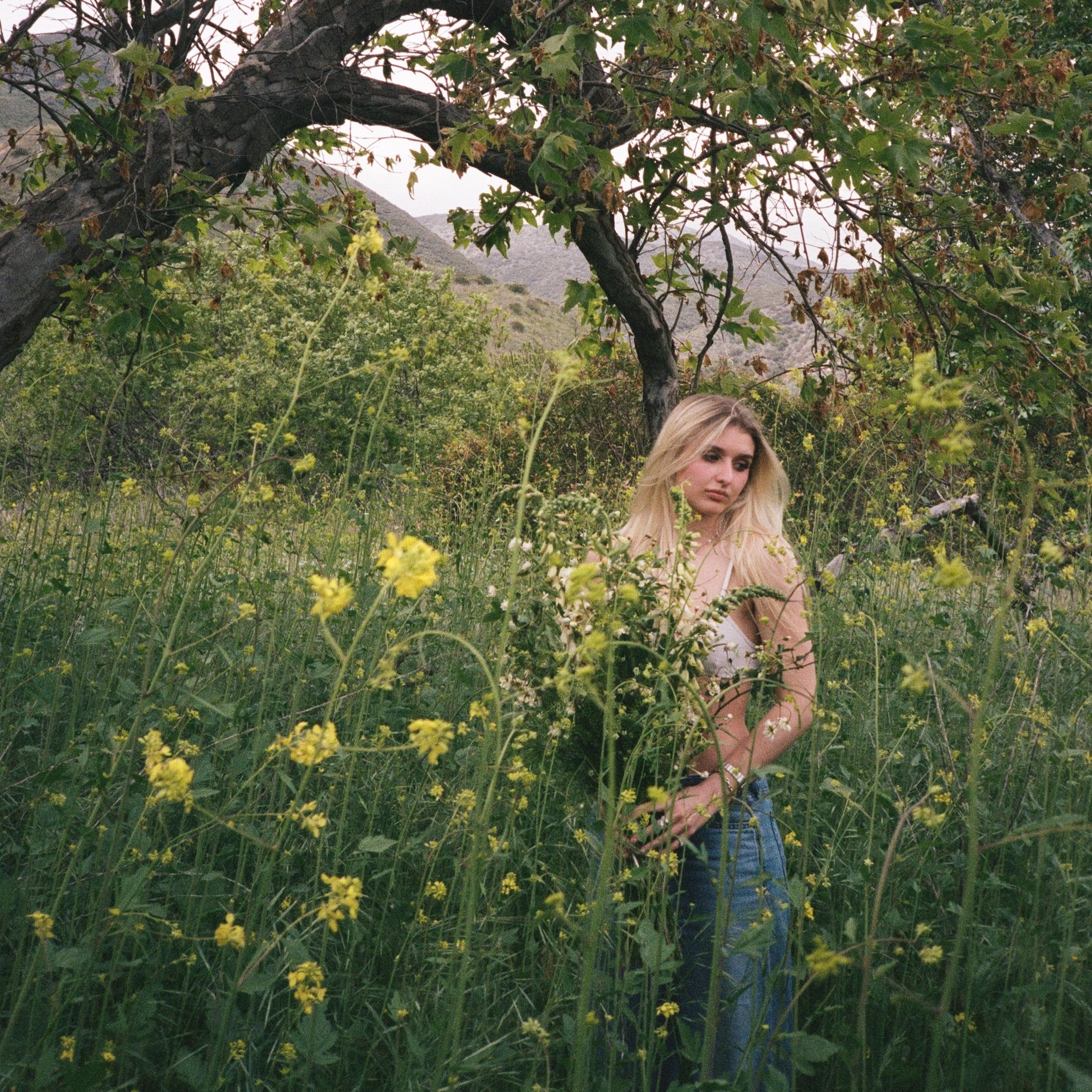 Adrienne Hein Studio