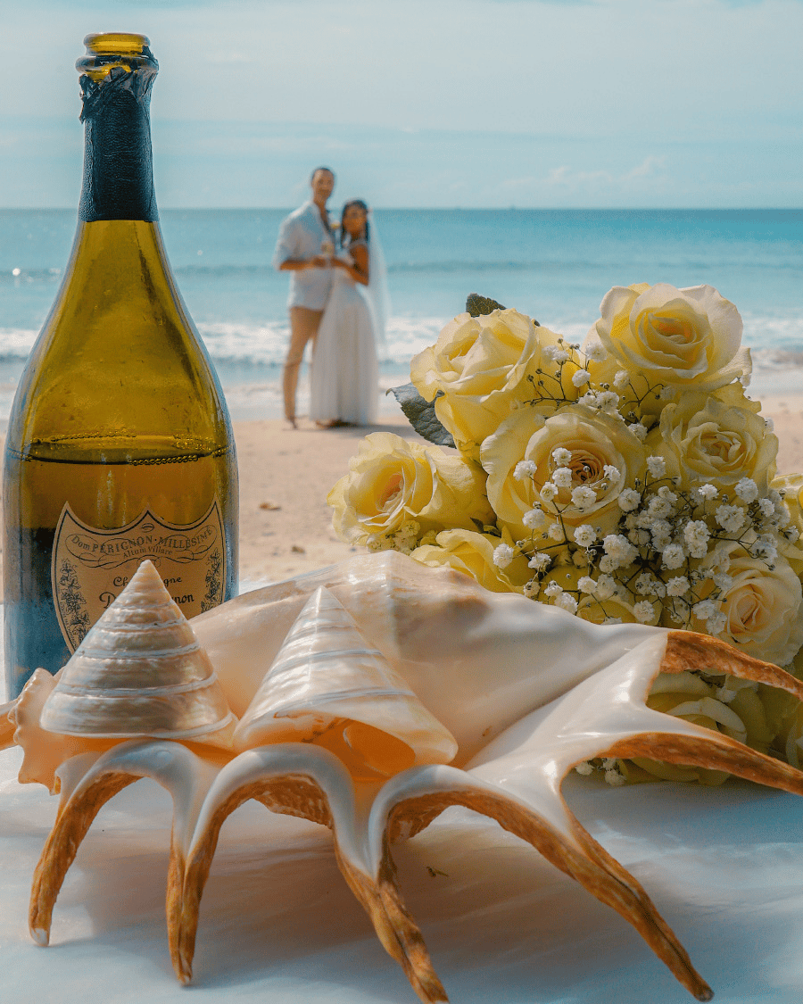 Happy Seychelles Wedding portfolio 3
