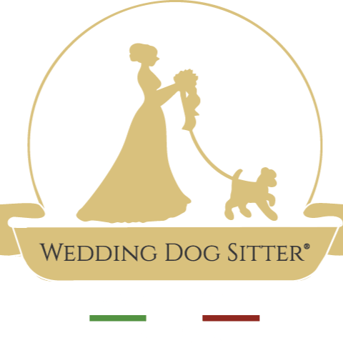 Wedding Dog Sitter
