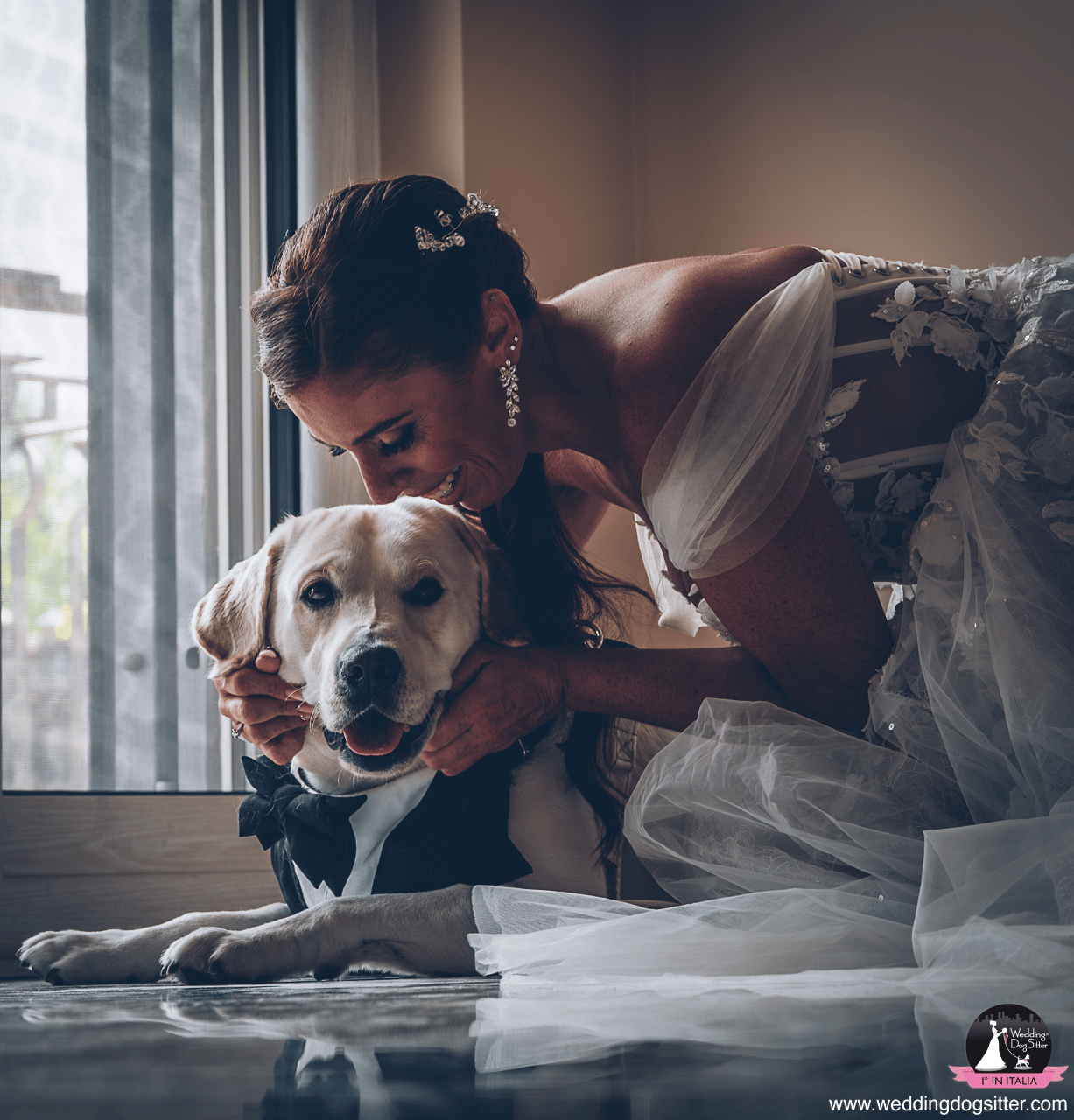 Wedding Dog Sitter portfolio 2