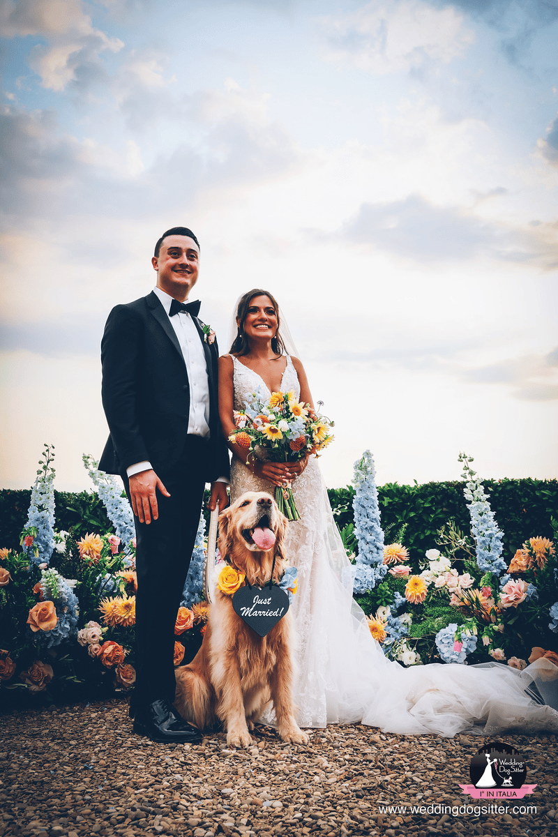 Wedding Dog Sitter portfolio 4