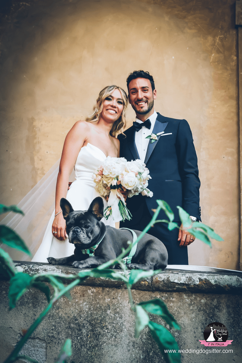 Wedding Dog Sitter portfolio 3