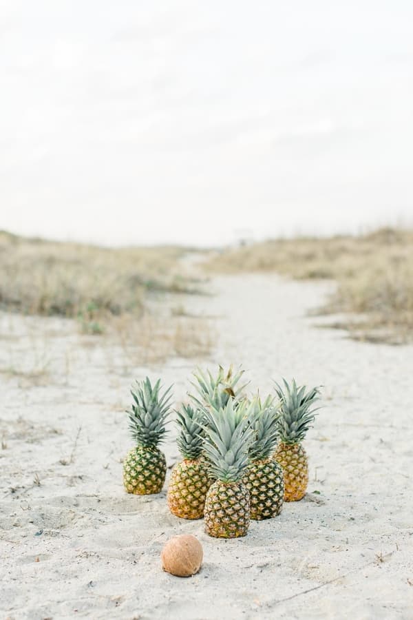 Photo by Marianne Lucille