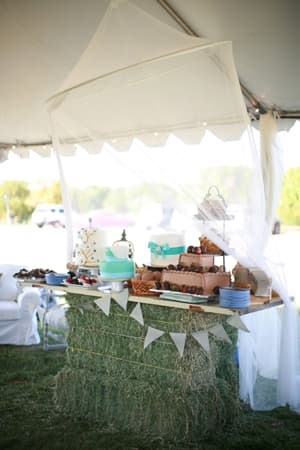 Rustic Mesa Wedding Captured By Diana Marie Photography