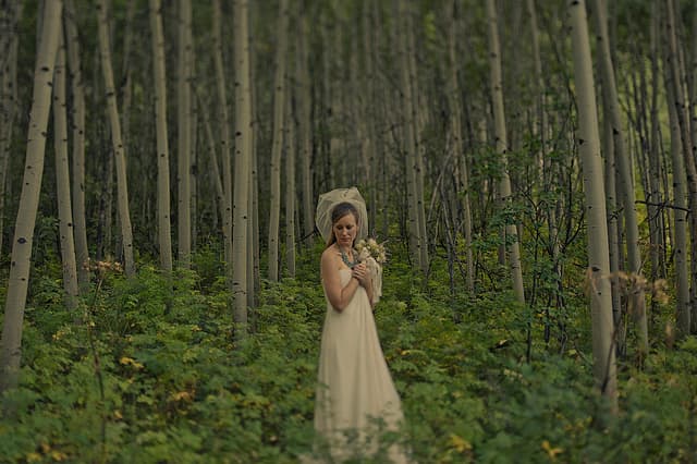 Rustic Aspen Wedding Captured By Ryan Joseph Photographs photo 1