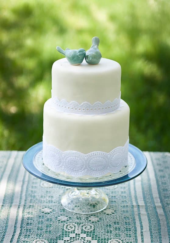 Indie Colorado Wedding Captured By DeFiore Photography