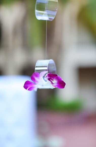 Glamorous Florida Wedding Captured By Wings Of Glory Photography photo 1
