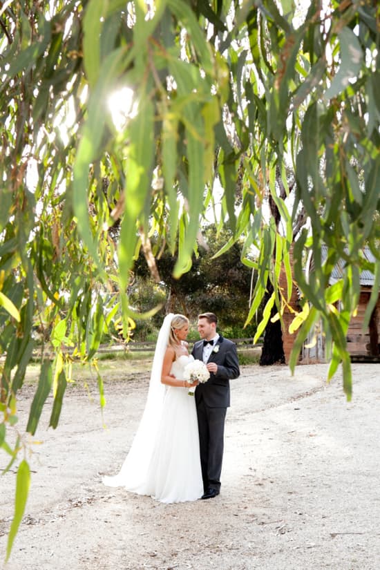 The Bouquets Of Ascha Jolie portfolio 5